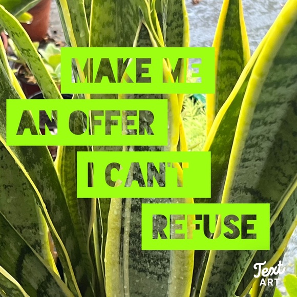 REASONABLE OFFERS👍 - Picture 8 of 13